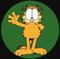 Garfieldsknee